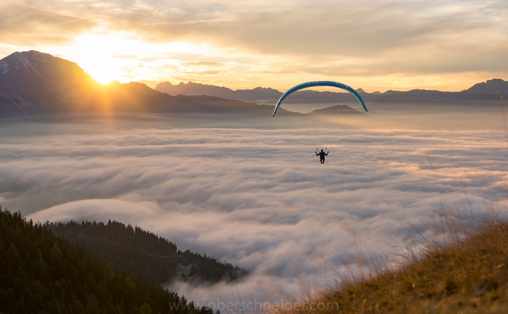 Sunset Paragliding above the Clouds by Christoph Oberschneider on 500px.com