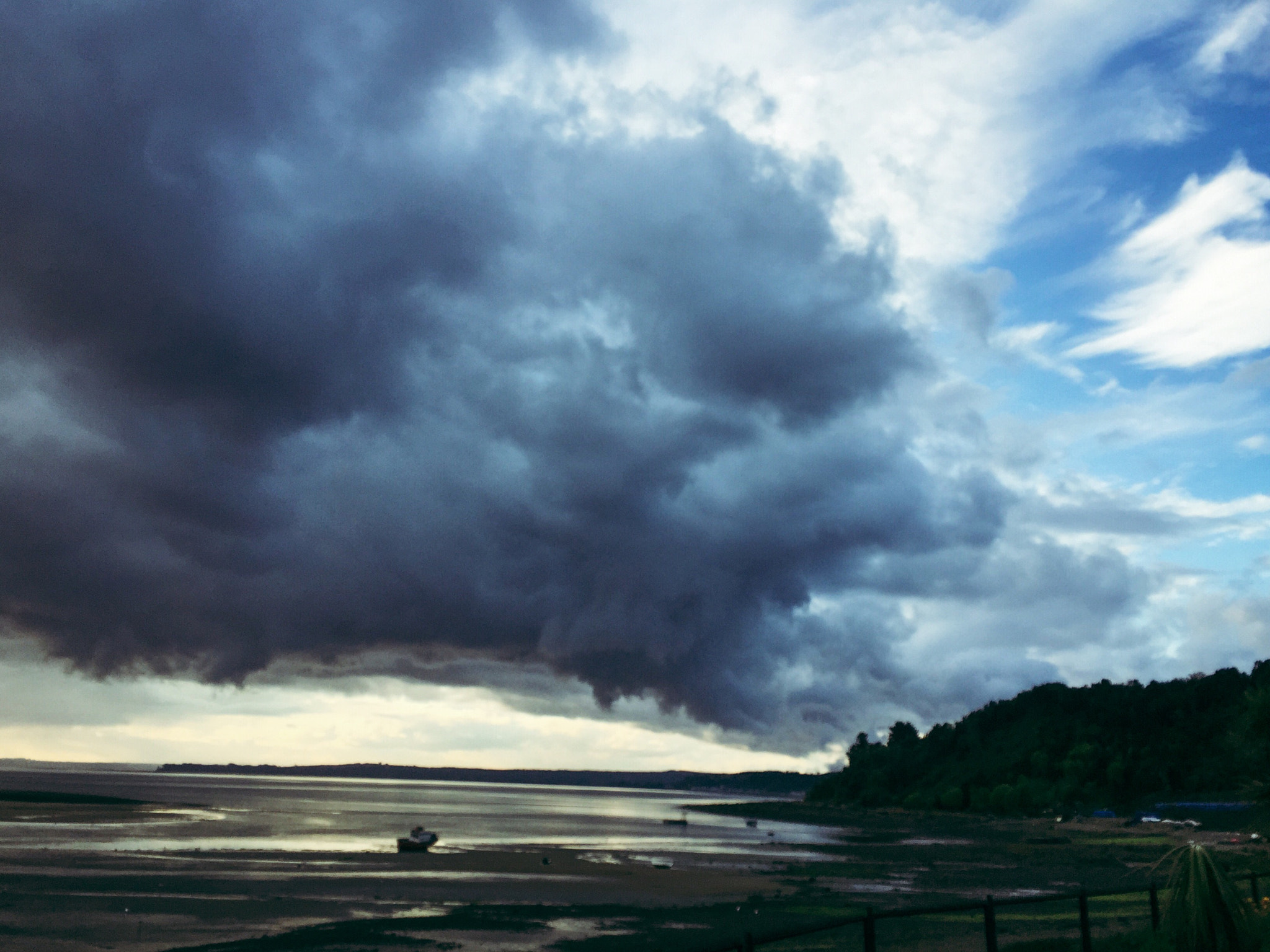 Pichiquillaipe iOS app test