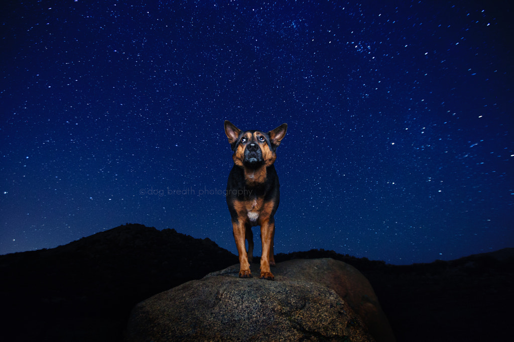 Under the Stars by Kaylee Greer on 500px.com