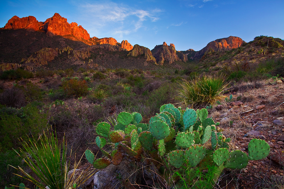 Texas, Big Bend National Park, Texas, Chisos Mountains, Sunset by ya ...