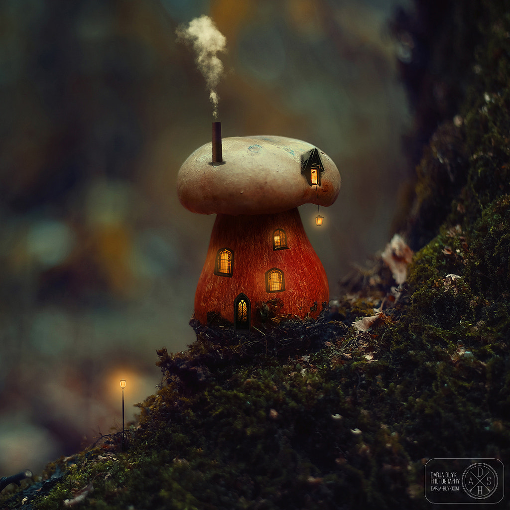 Mushroom House by Darja Bilyk on 500px.com