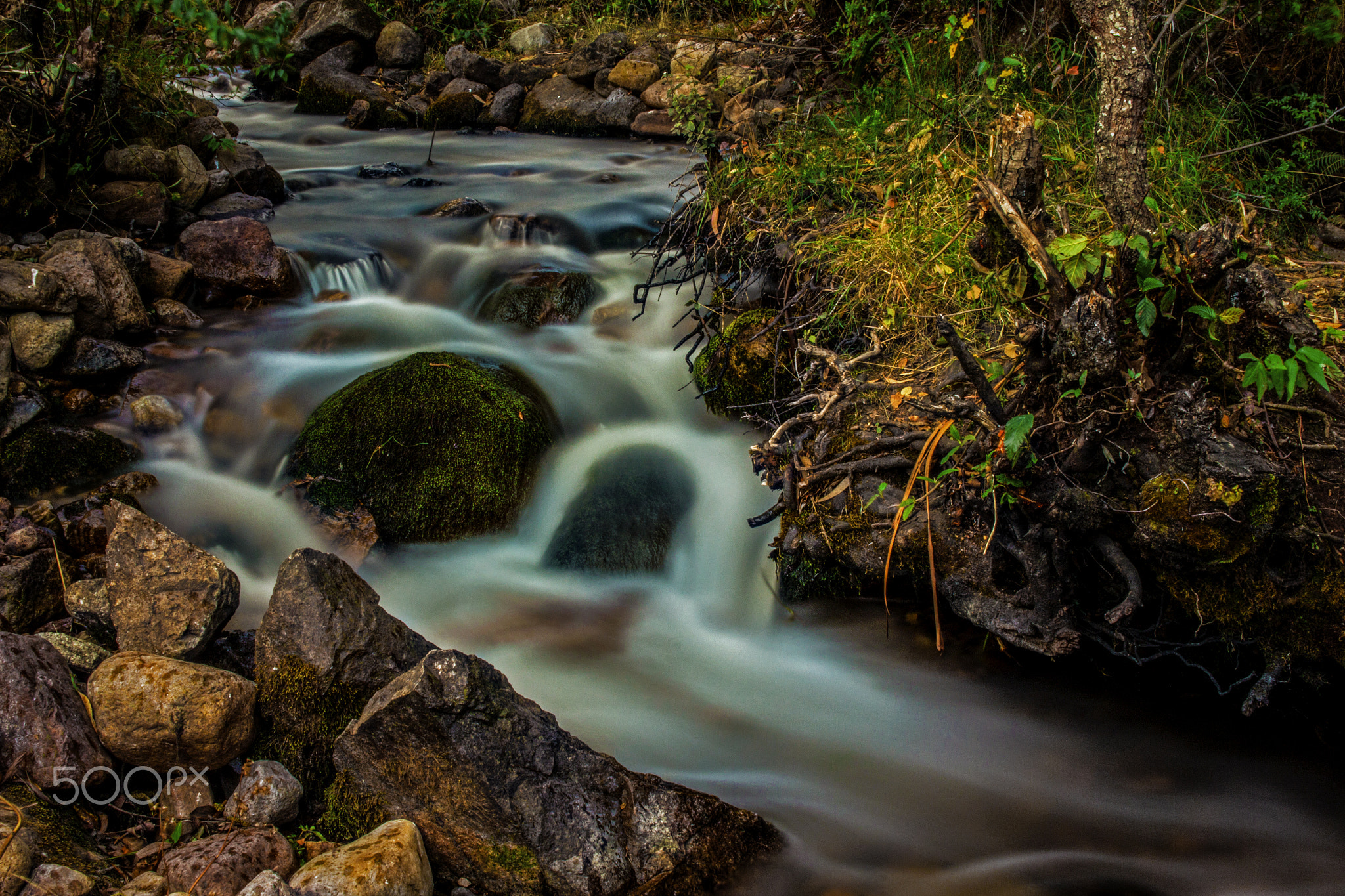 Flowing Nature