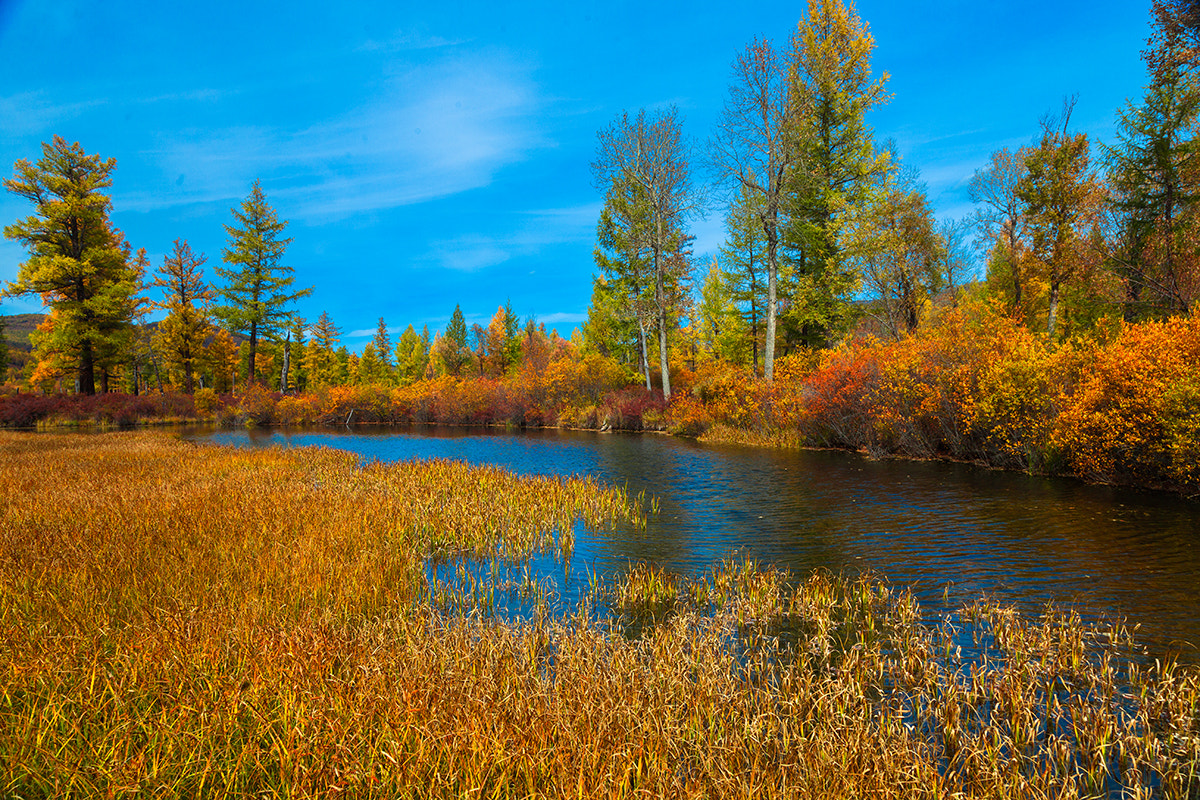 Autumn in Mongolia. September 2015