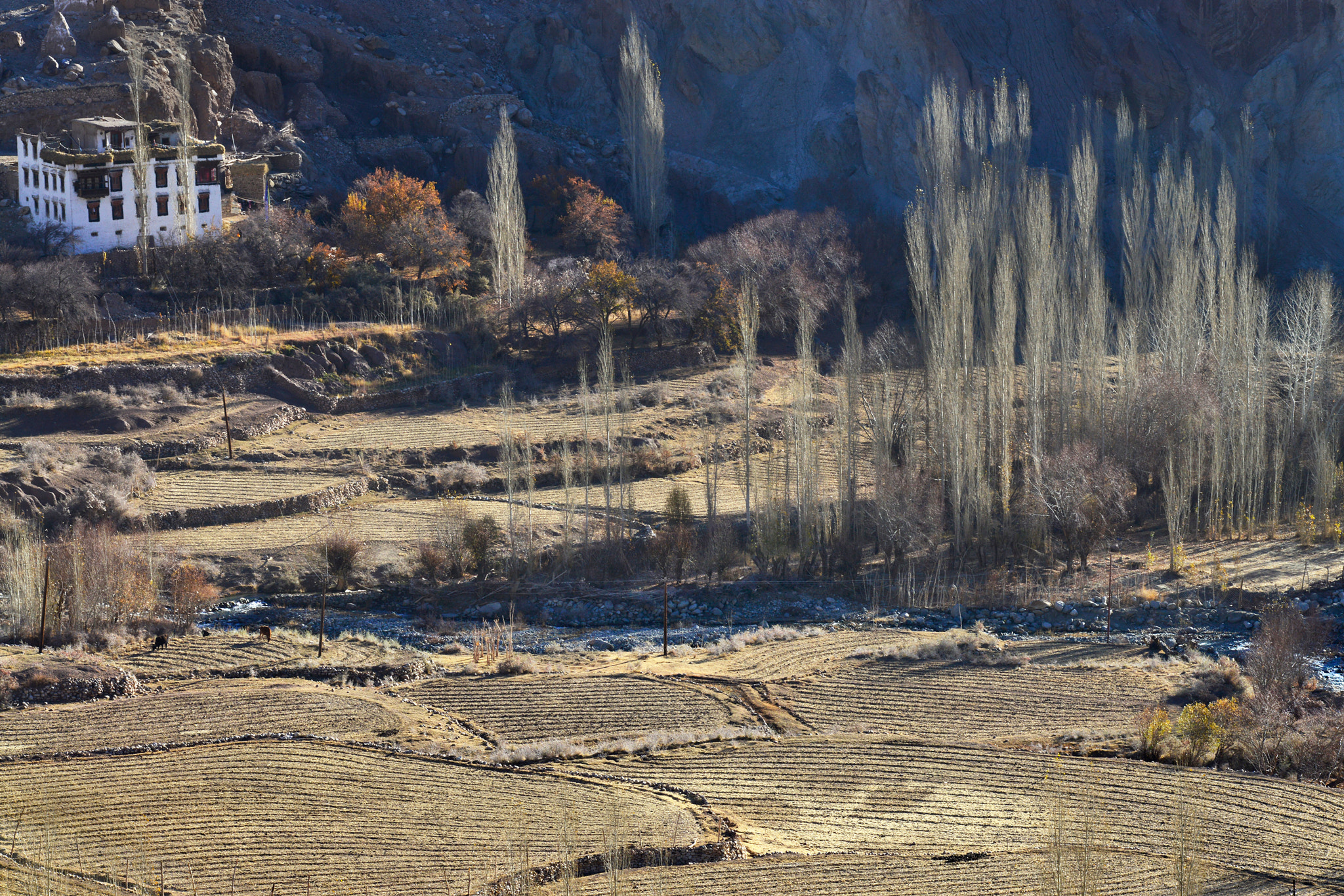 v2?sig=465356dacb50e17ee7ad907ec26a5661d039a5f33af85de238712ebc56f6f547