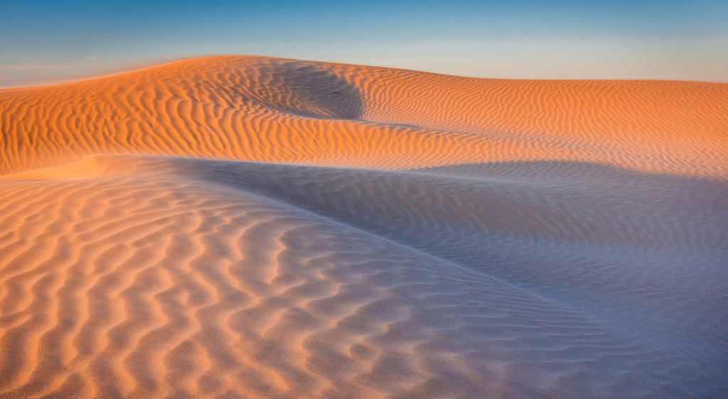 Sandy Curves by Steven Johnson on 500px.com