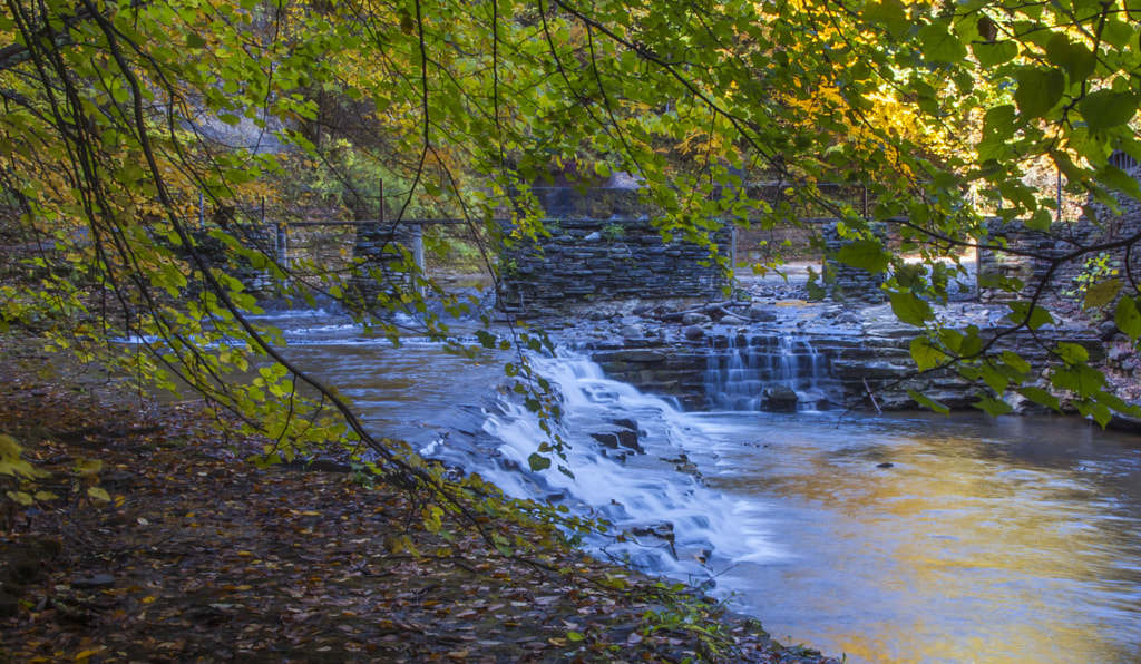 Robert Tremen State Park by Orman Hall / 500px