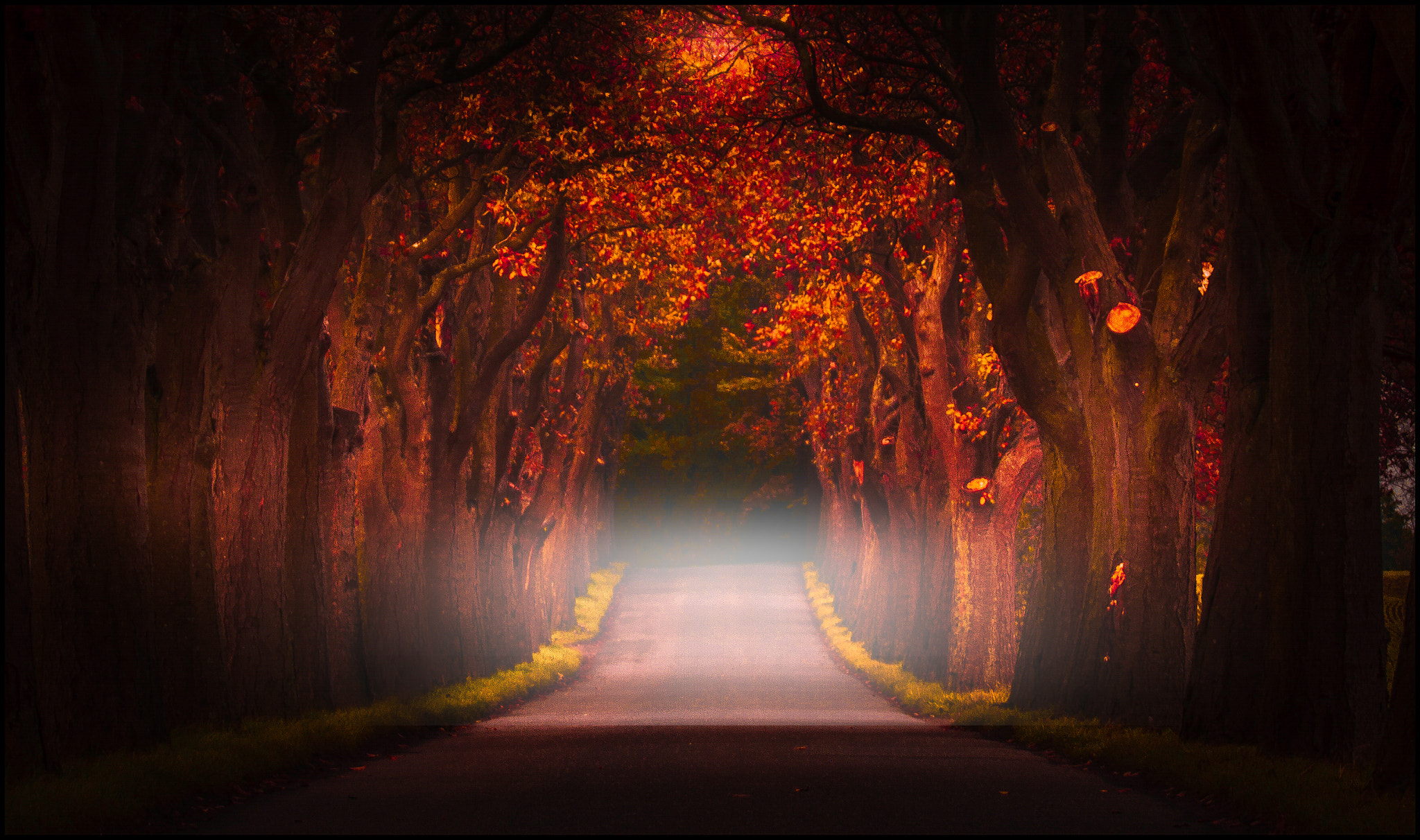 v2?sig=d330fb60523a8945d08861bf8d5d860ee