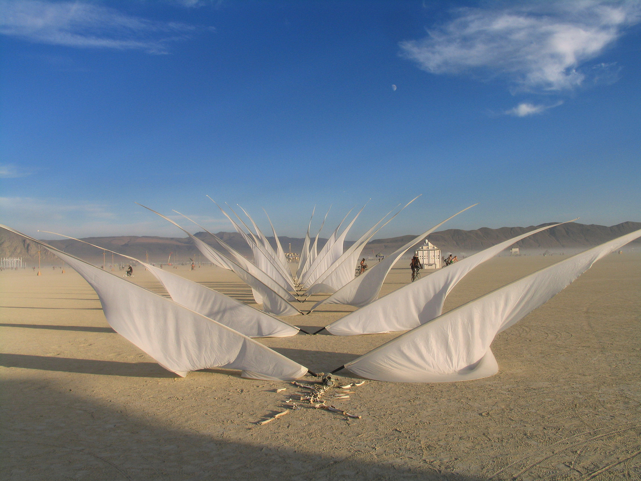 Canon POWERSHOT PRO1 sample photo. Memorial flags @ burningman 2006 photography