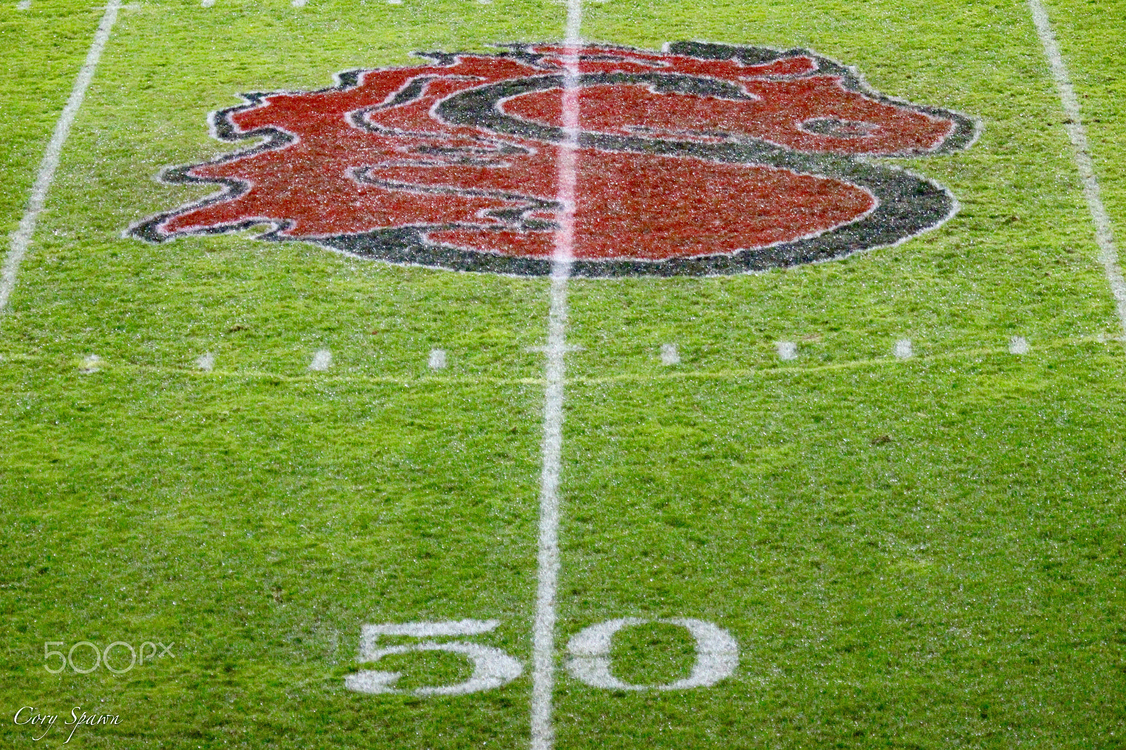 Canon EF 100-400mm F4.5-5.6L IS USM sample photo. Ponies homecoming photography