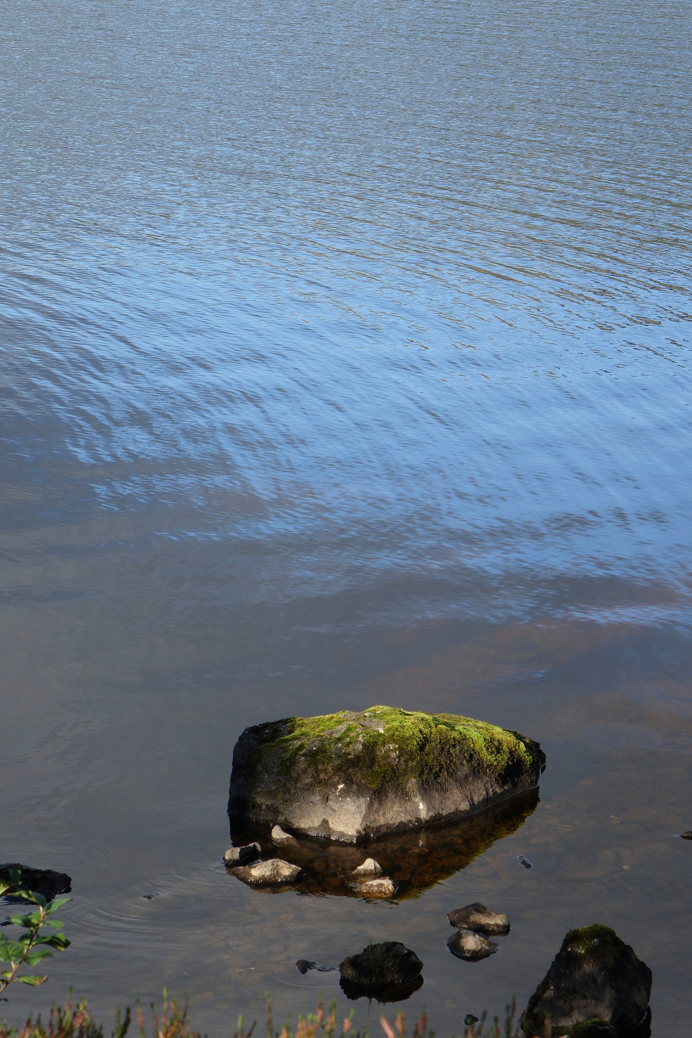 A reflected blue