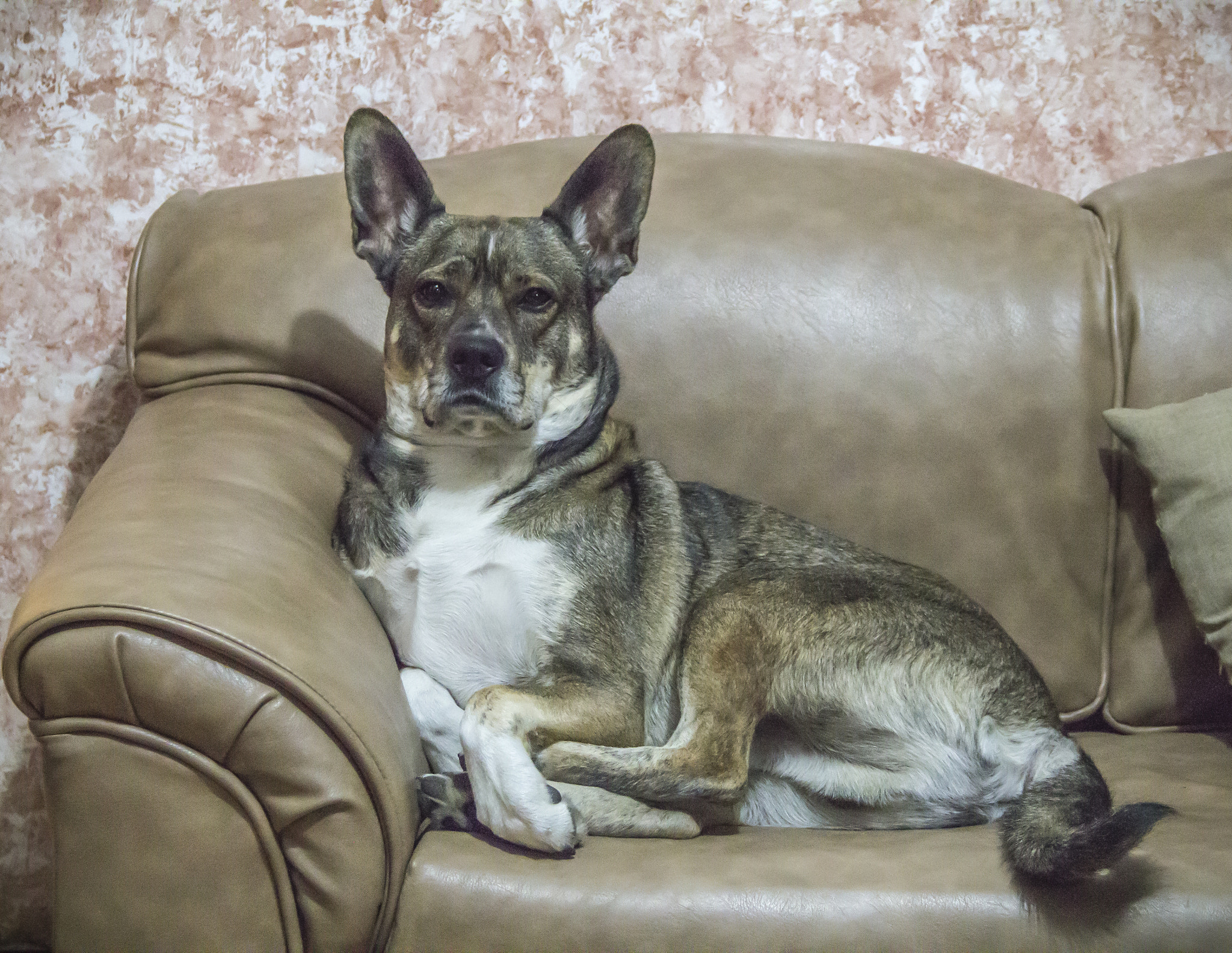 Elegancia casual
