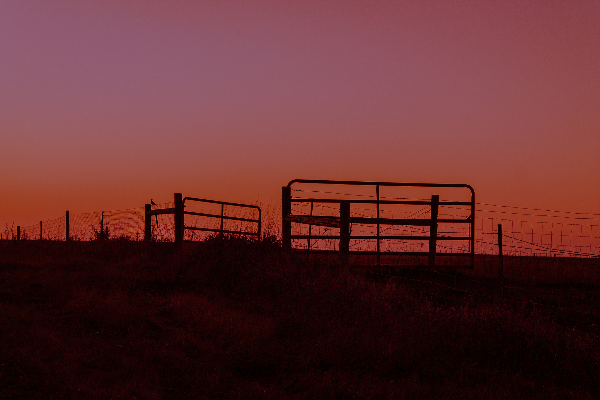 SunsetGate
