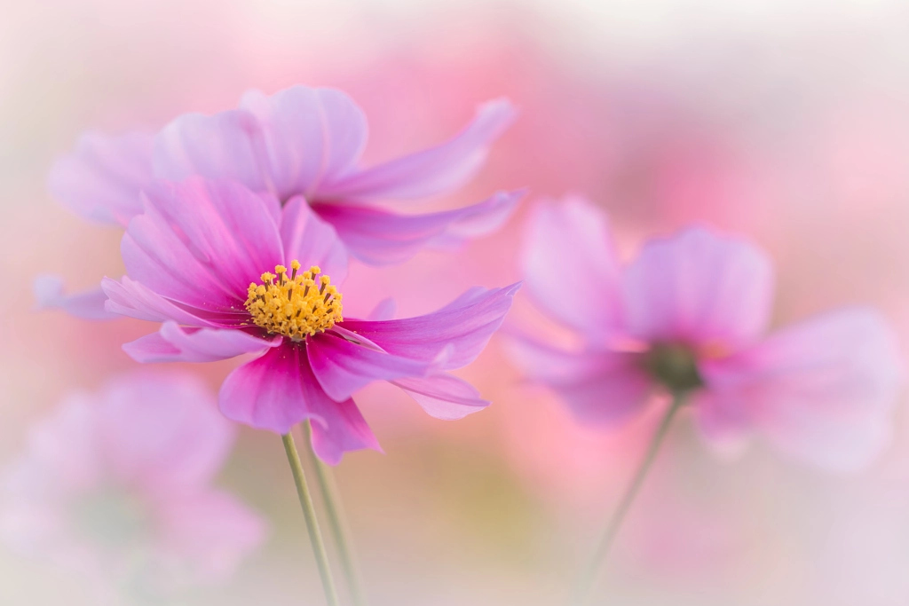 *** by L.th  on 500px.com