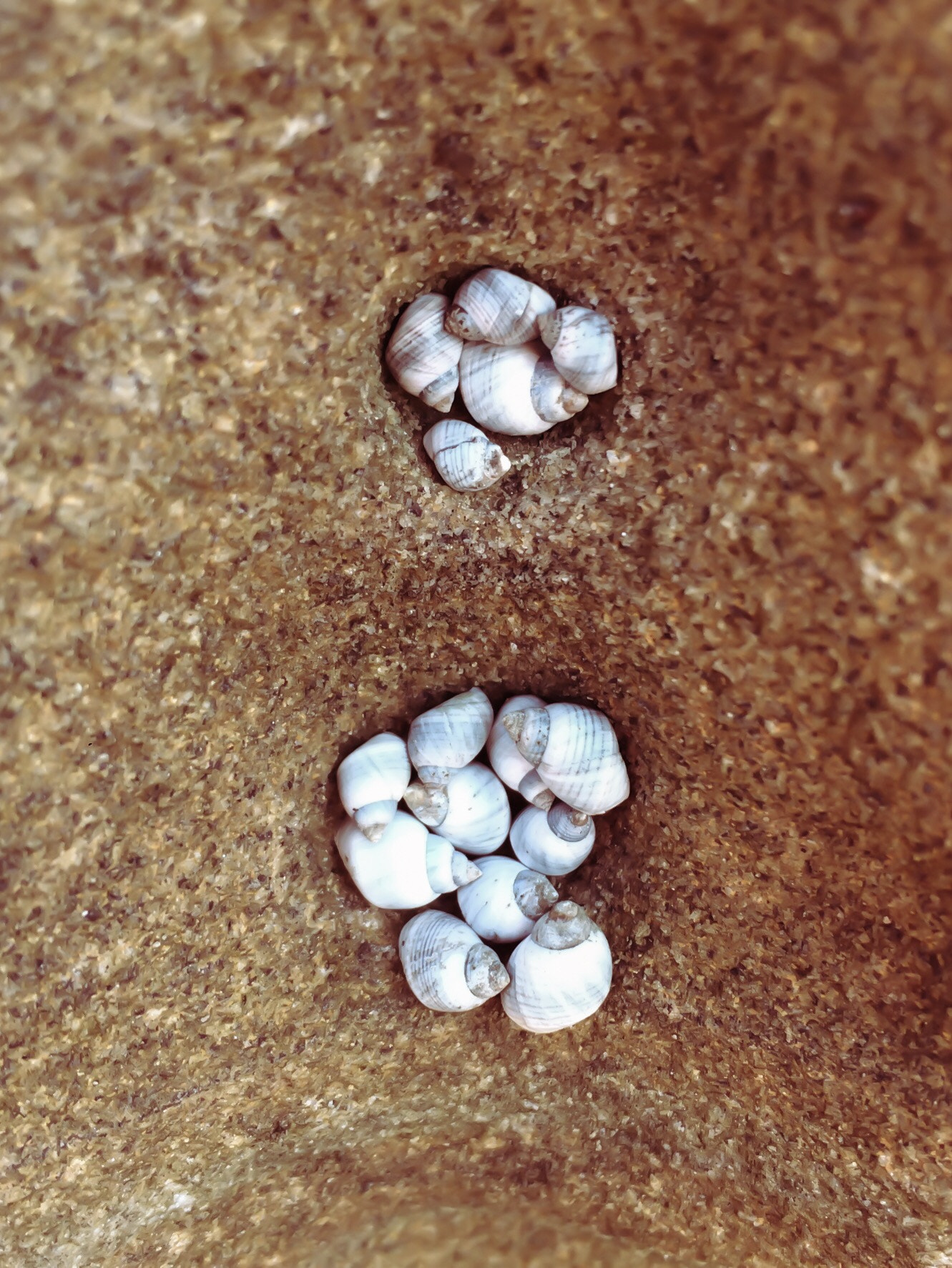 v2?sig=d6dcd9e5f943a2a6e8390b37937a36c575f0ecfd4855b06e4962bc9d6aef7579