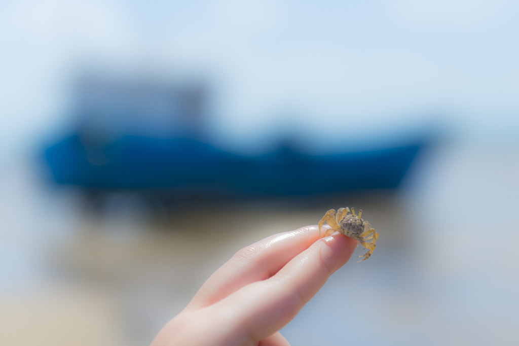Baby Crab by TRANXTIVE GAO on 500px.com