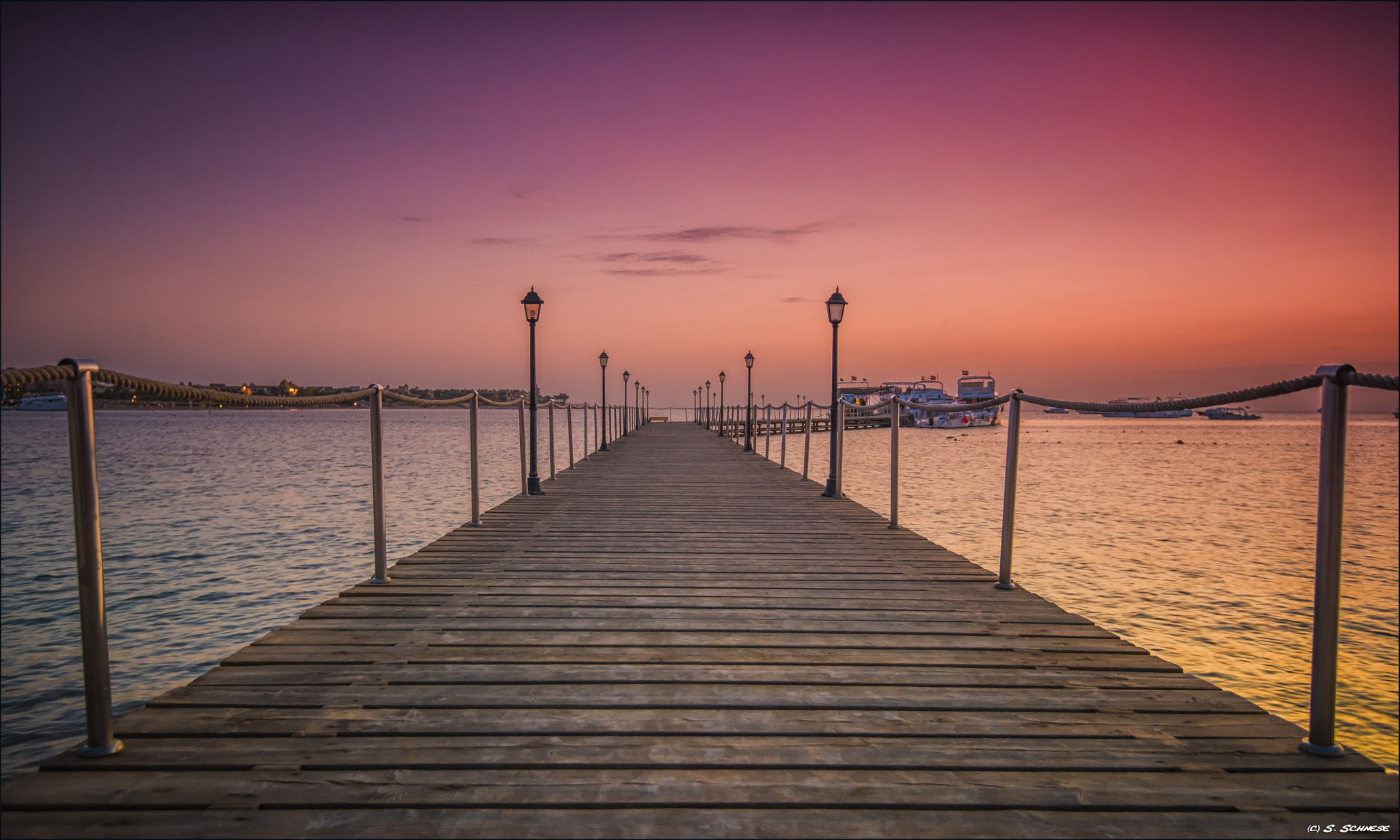 -  into the light  -