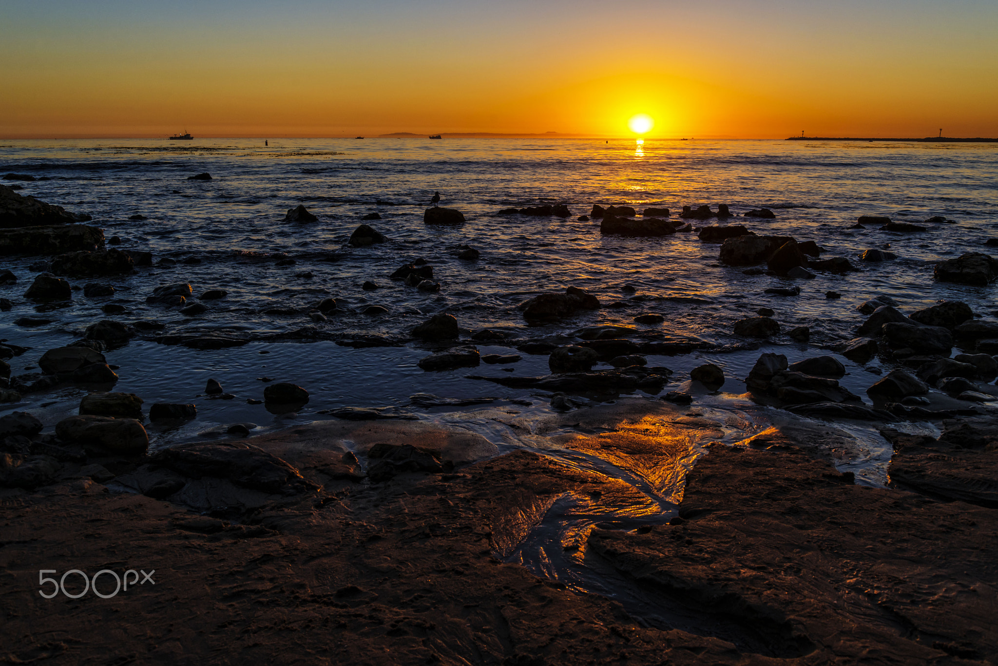 Tide Pools at Corona Del Mar, Newport Beach, CA by Rich Cruse / 500px
