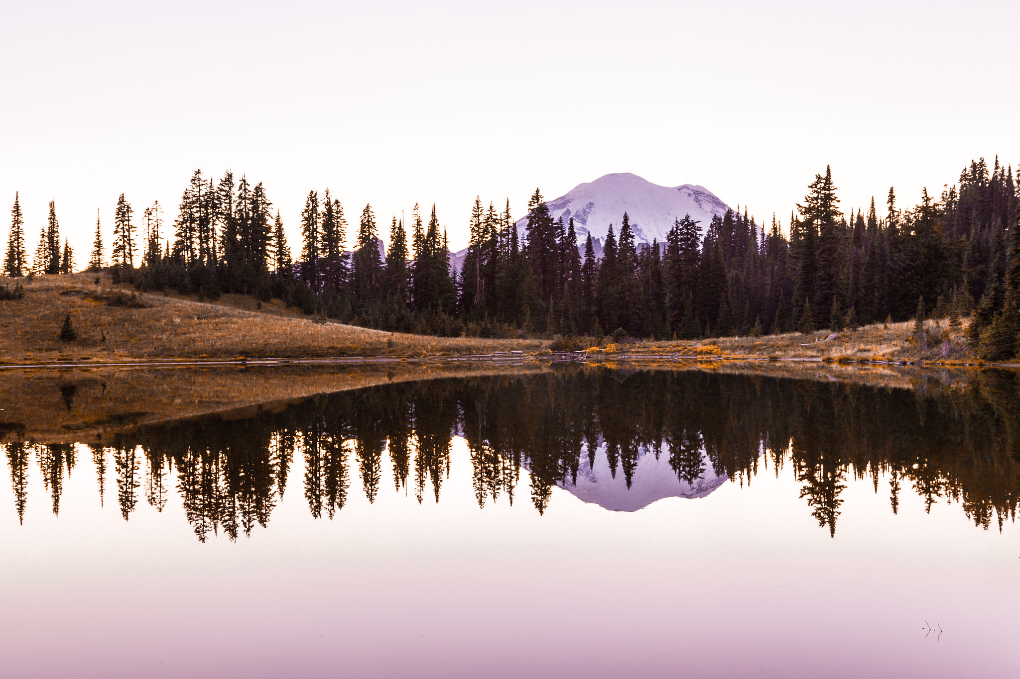 Perfect Reflection @ Mount Rainier