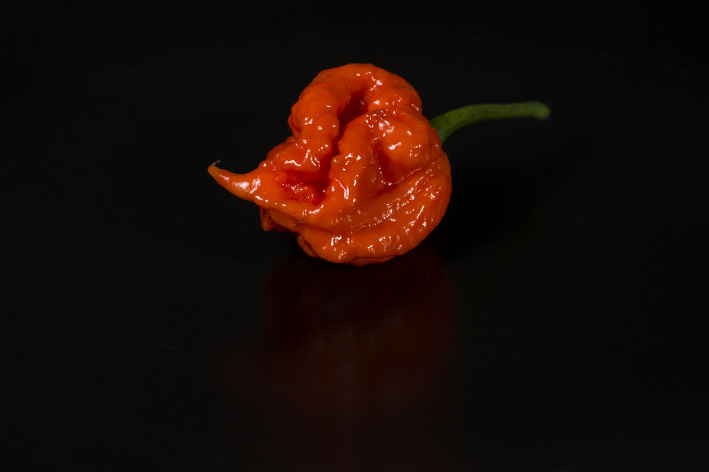 Carolina Reaper Chili by Kent Rasmussen on 500px.com