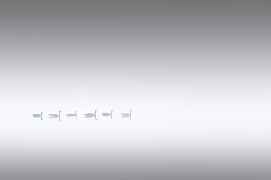 The quiet ride by Andre Villeneuve on 500px.com