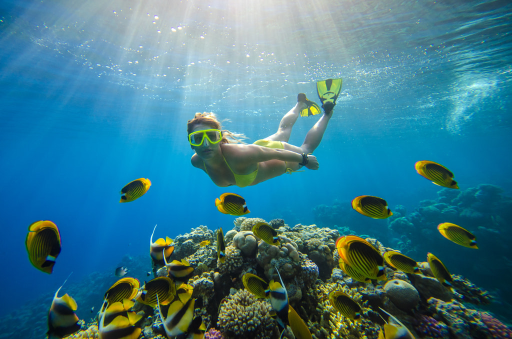 underwater #7 by elovich on 500px.com