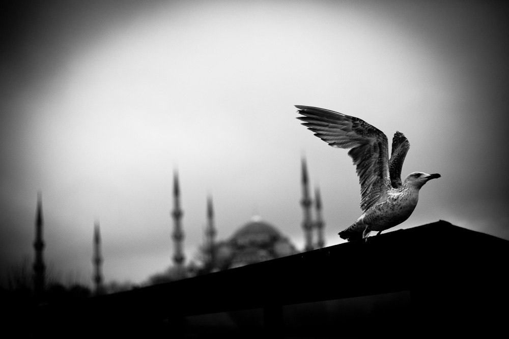 v2?sig=945ede285cae1904deab90ba5cacf5bf1929a488eb7d469ae3460d103739e241