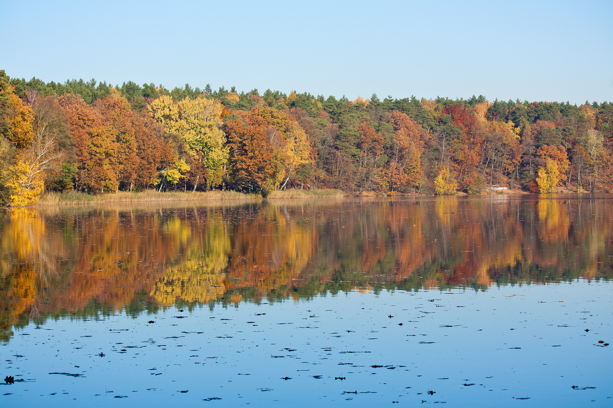 colourful autumn