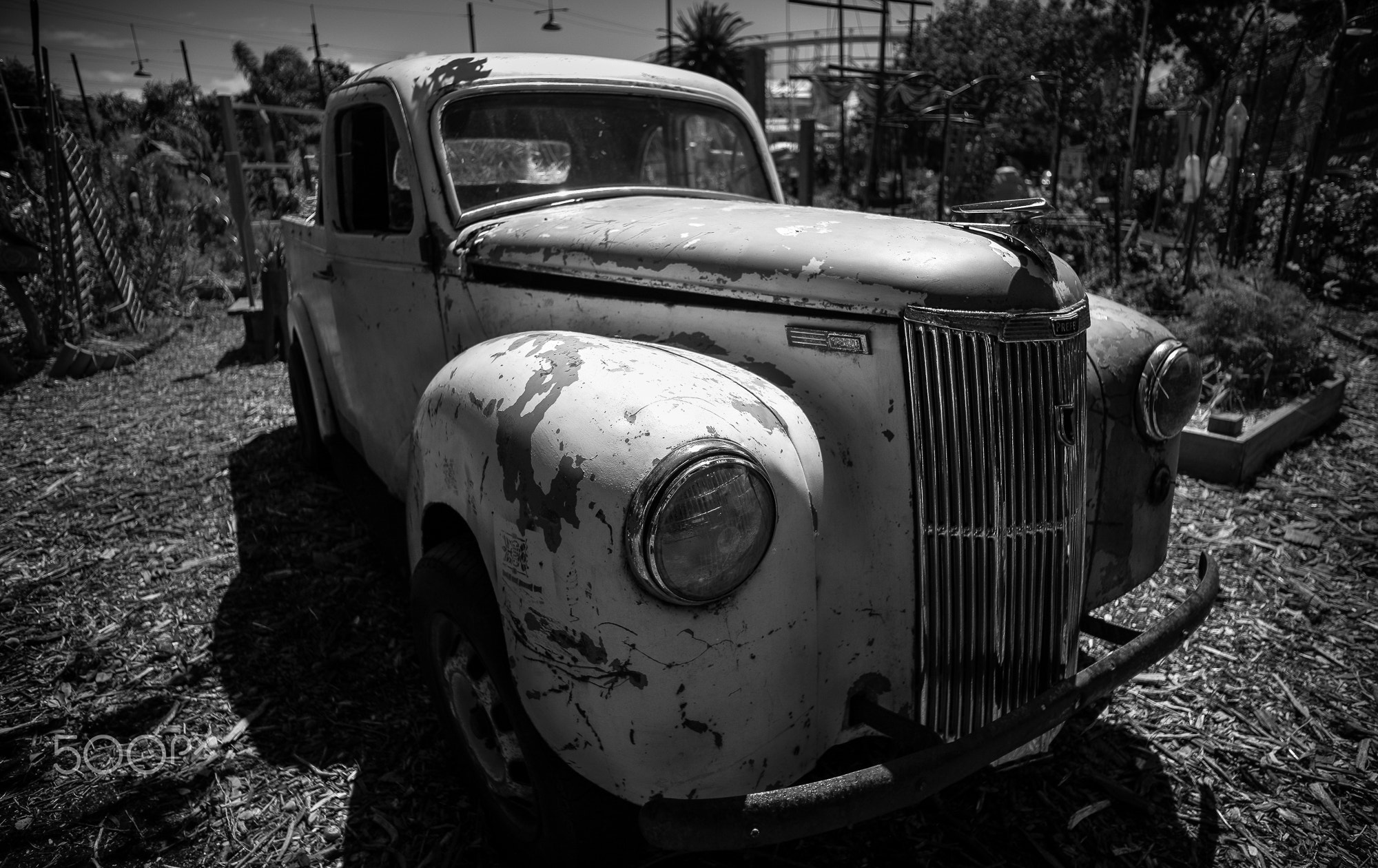 old vintage farmer truck