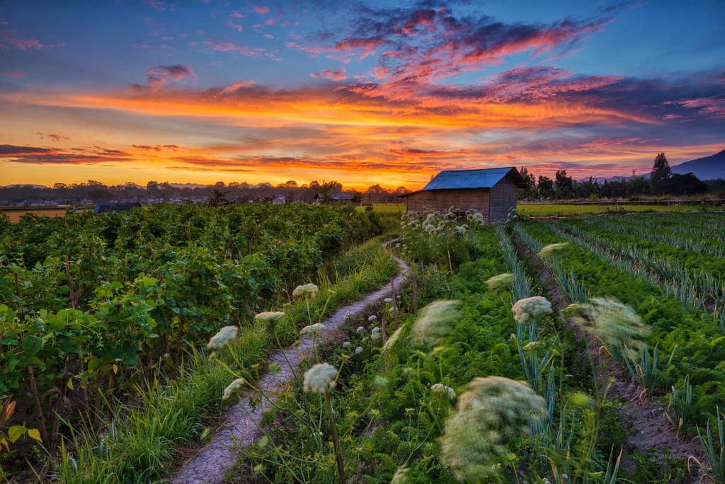 Gorgeous Sunrise at Koto Gadang by Kristianus Setyawan on 500px.com