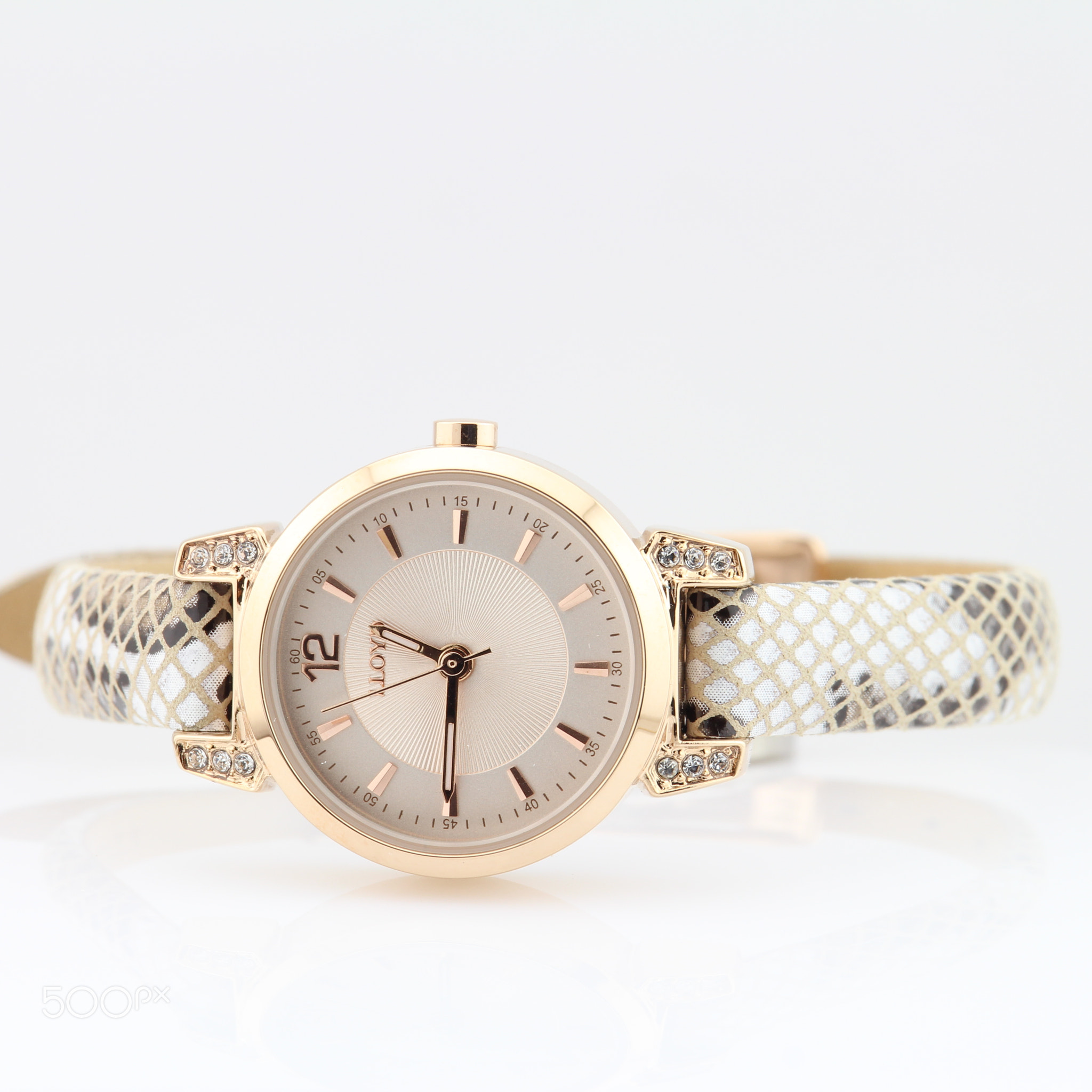 LLOYD Lady's Watch