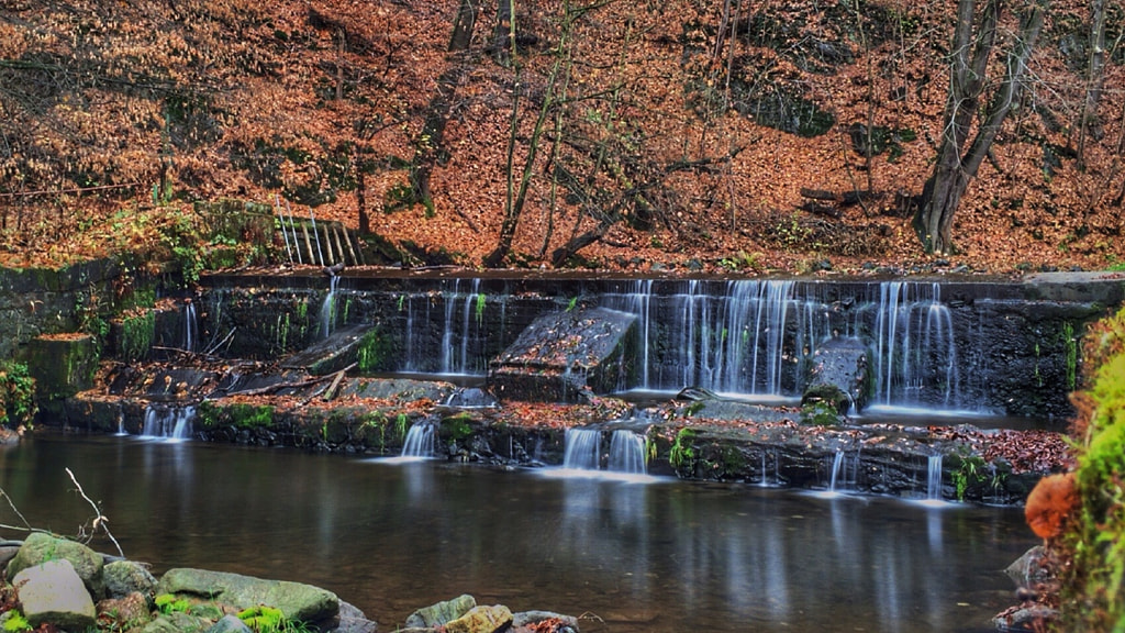 wehr... by dirk derbaum on 500px.com