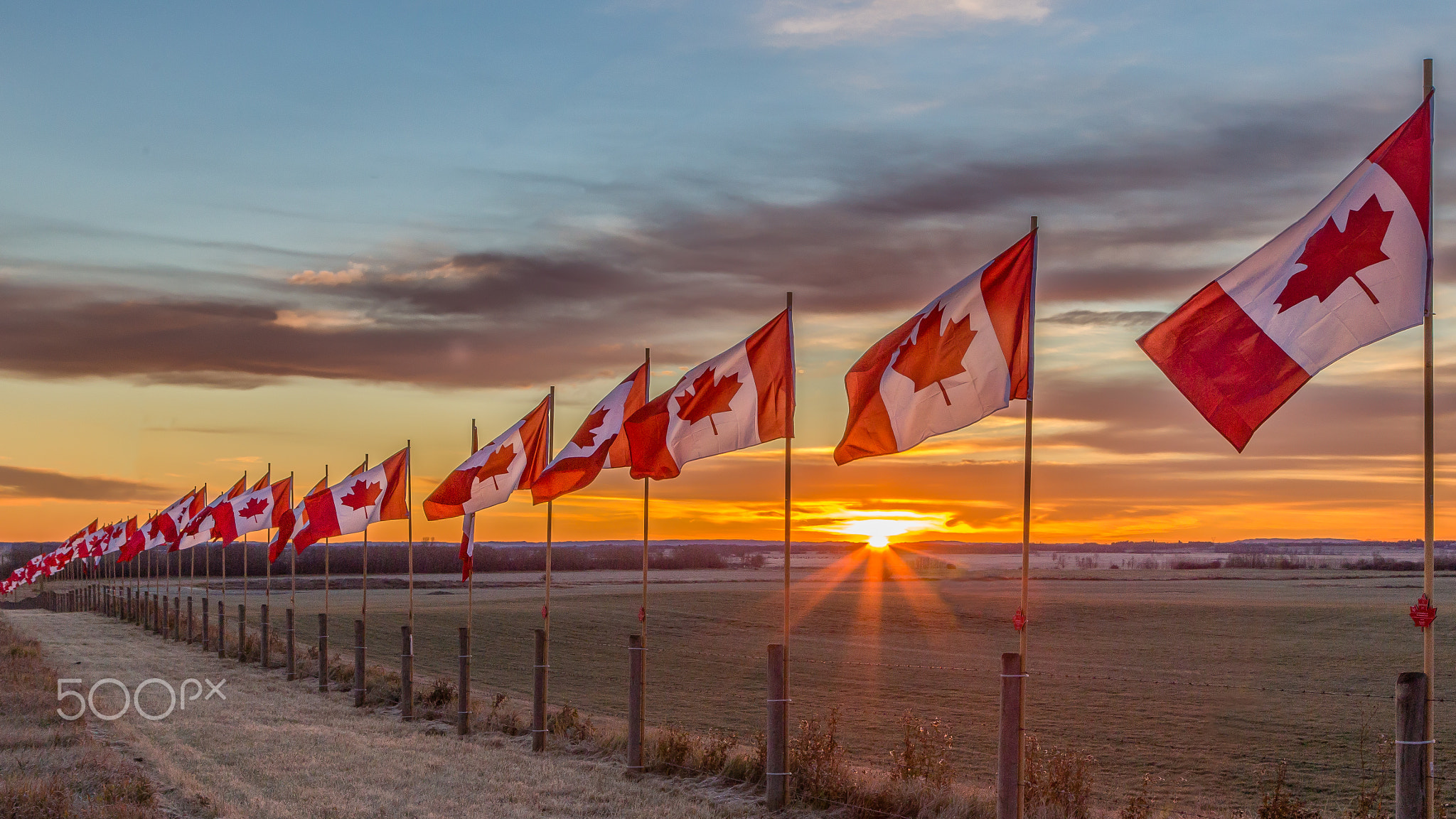 We Promise To Never Forget