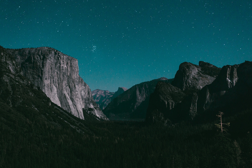 Tunnel view by Hayden Scott on 500px.com