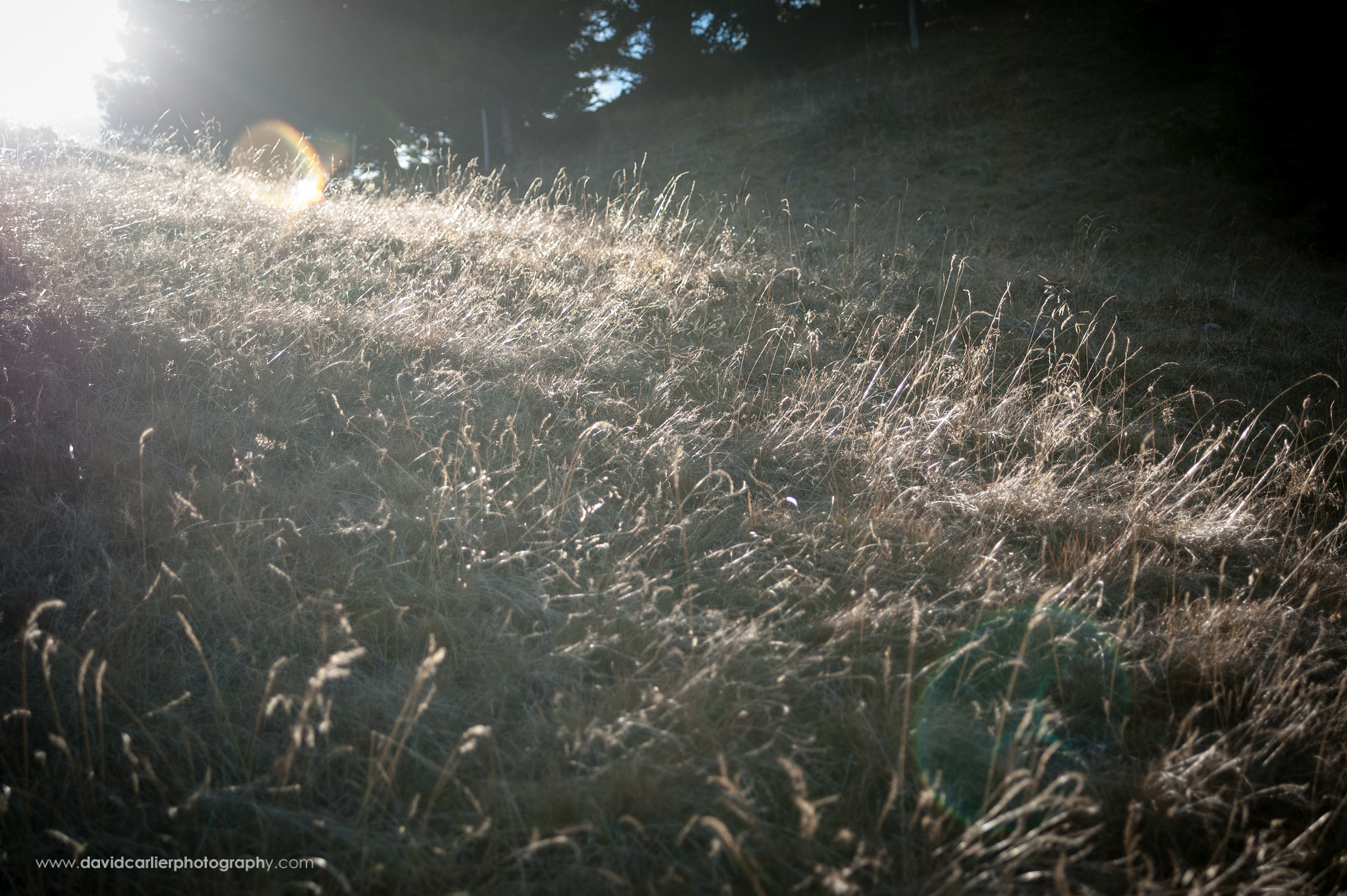 Nikon D700 + AF Zoom-Nikkor 28-70mm f/3.5-4.5D sample photo. Alpine farm - davidcarlierphotography.com photography