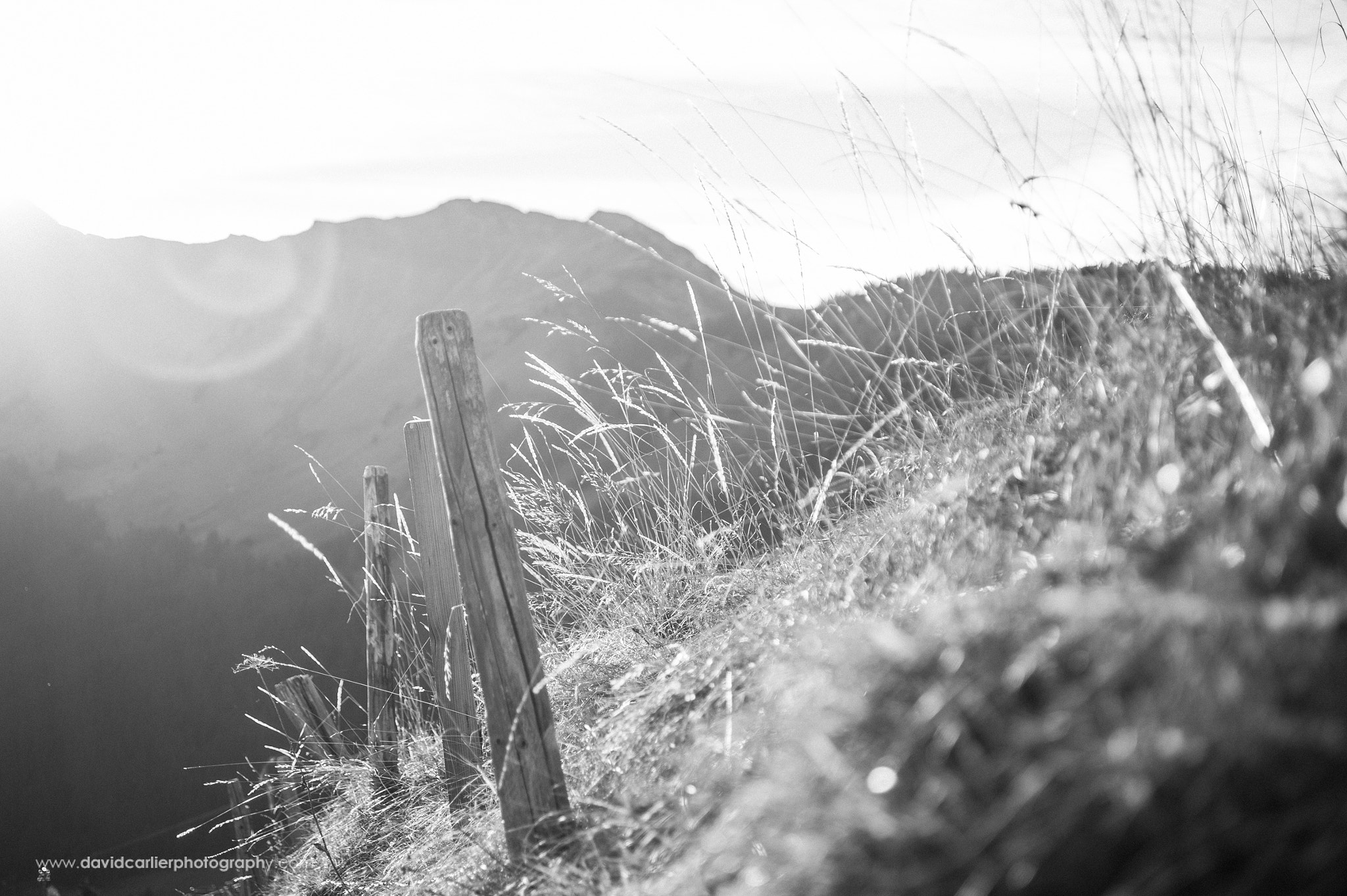 Nikon D700 + AF Zoom-Nikkor 28-70mm f/3.5-4.5D sample photo. Alpine farm - davidcarlierphotography.com photography