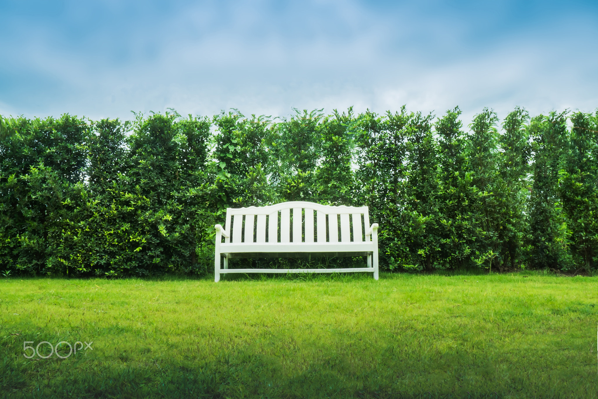 White bench in green garden.