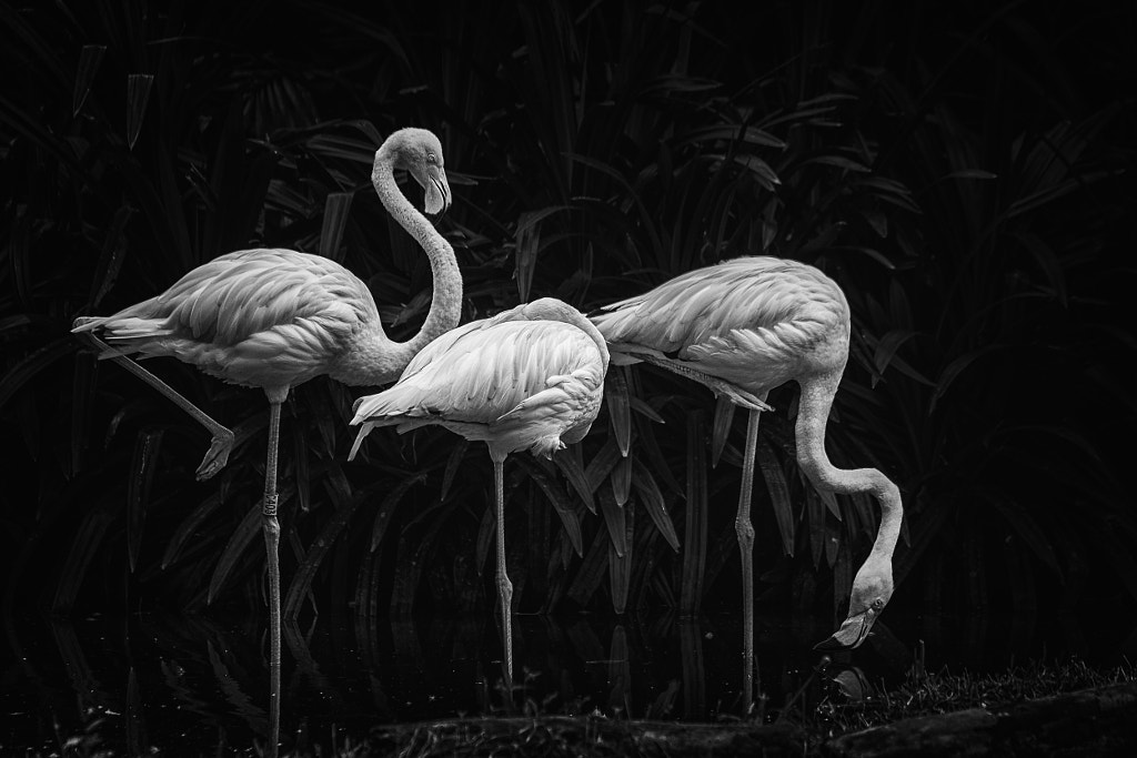 Juxtaposition by Ravikumar Jambunathan on 500px.com