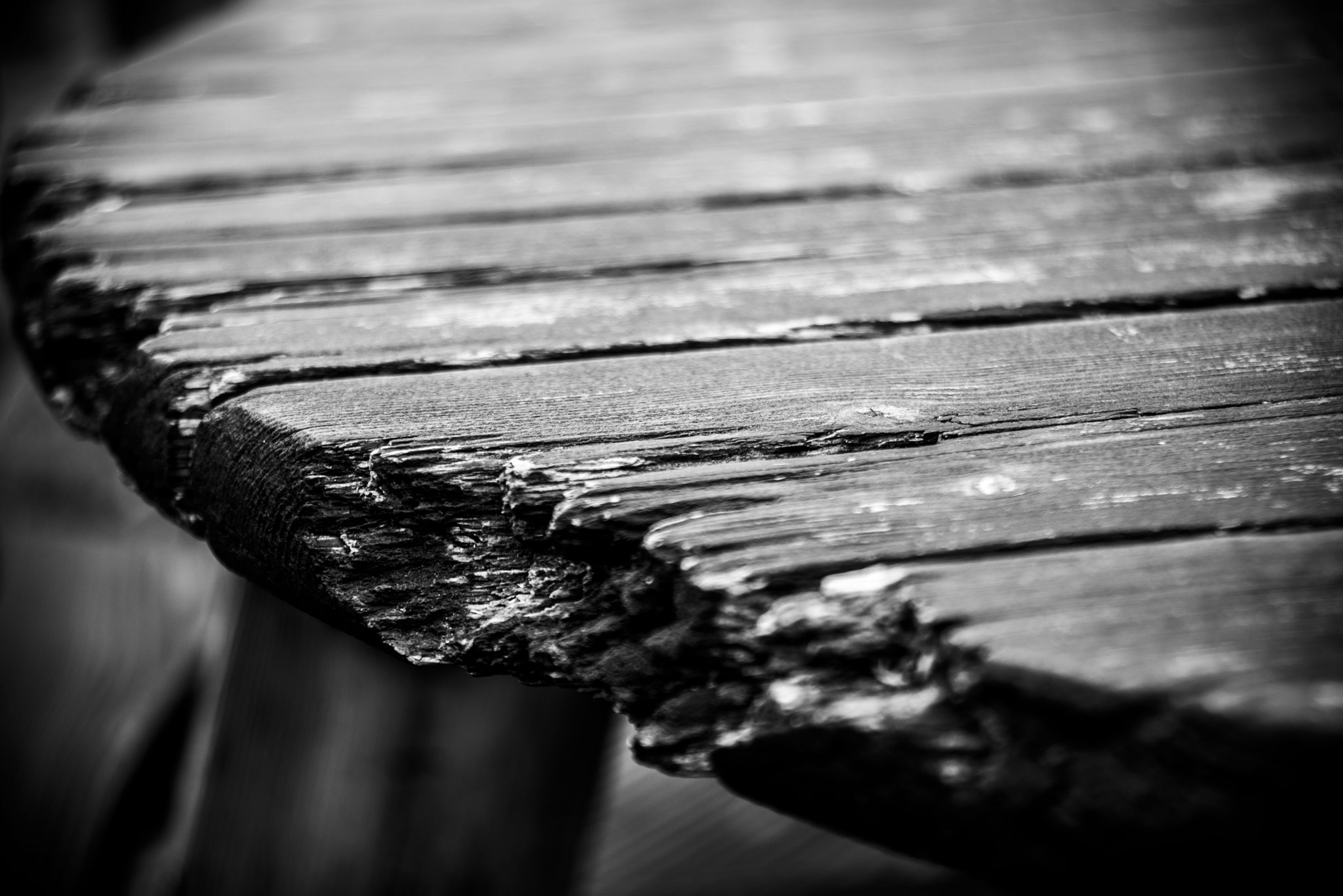 The Wooden Decay