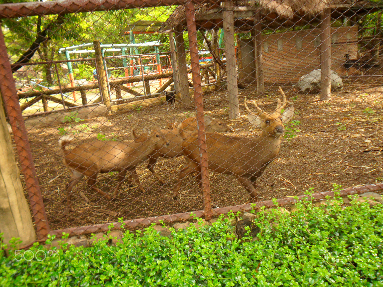 Samsung ES74,ES75,ES78 / VLUU ES75,ES78 sample photo. Welcome to thailand photography