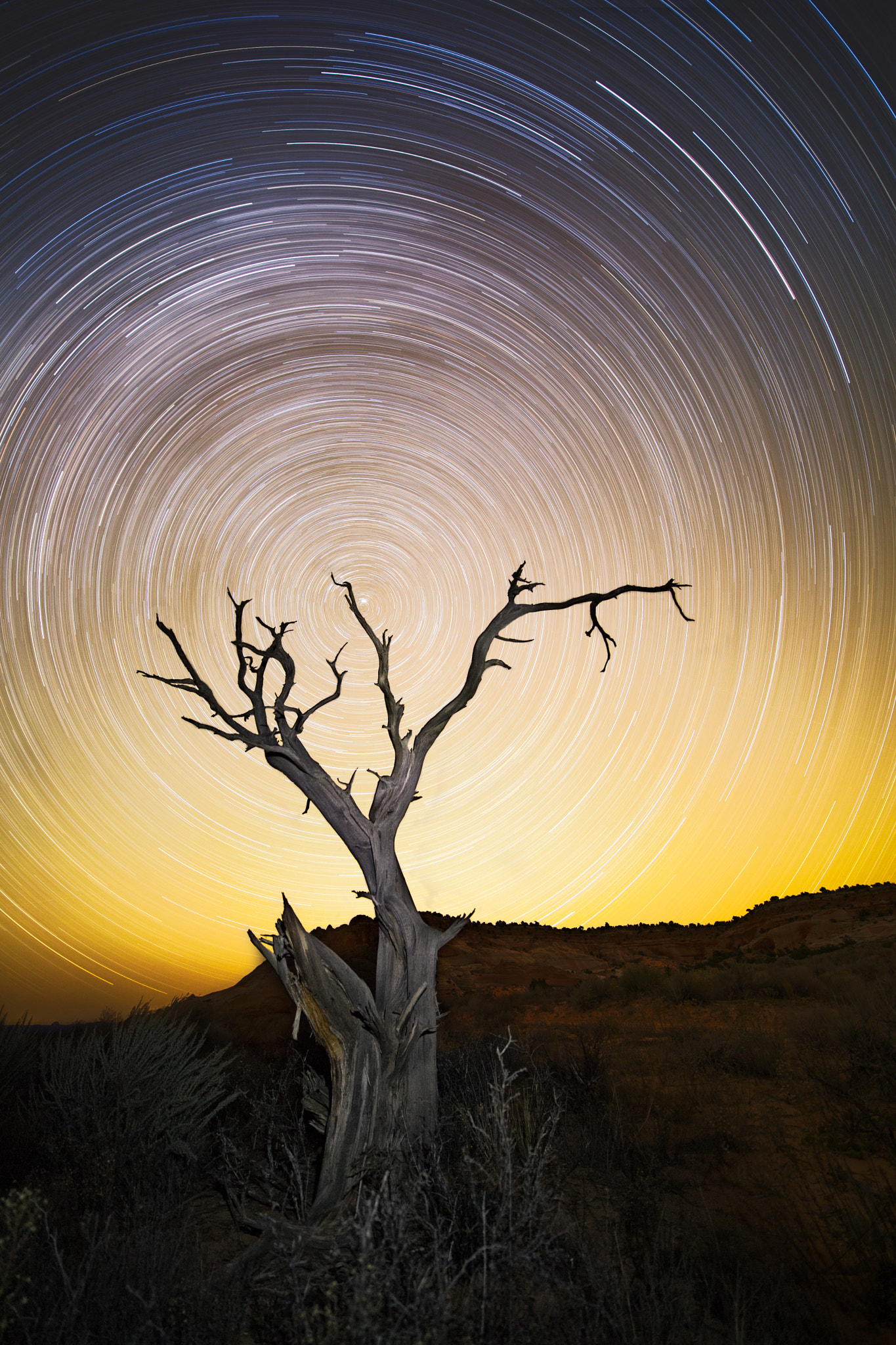 v2?sig=a3bb271f5a25f3b8610a12a650c028e75e9975fe74e9fb8131d5c2efaf6f8fa9