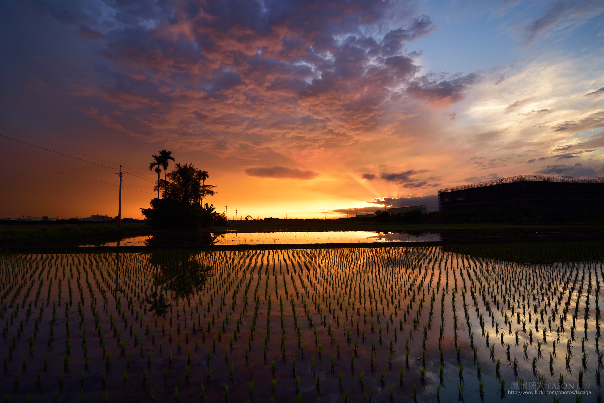 水稻田與興建中的工廠