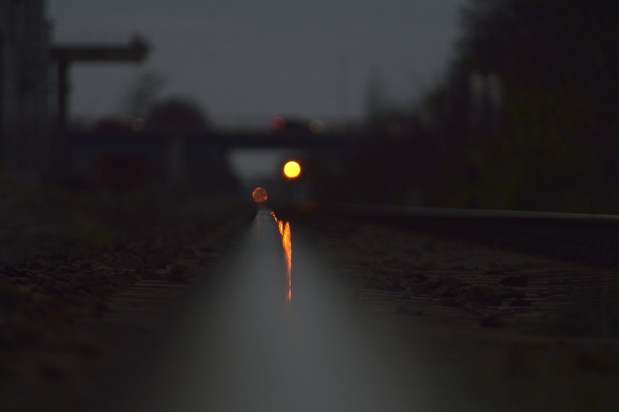 Nikon Df + AF Zoom-Nikkor 70-300mm f/4-5.6D ED sample photo. Down by the rail#2 photography