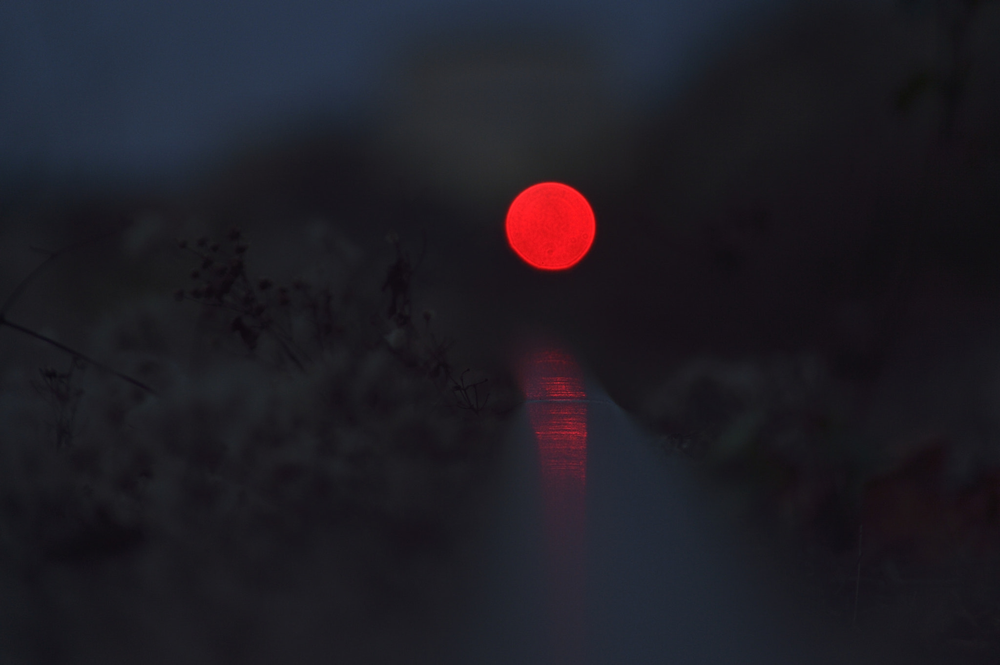 AF Zoom-Nikkor 70-300mm f/4-5.6D ED sample photo. Down by the rail#1 photography