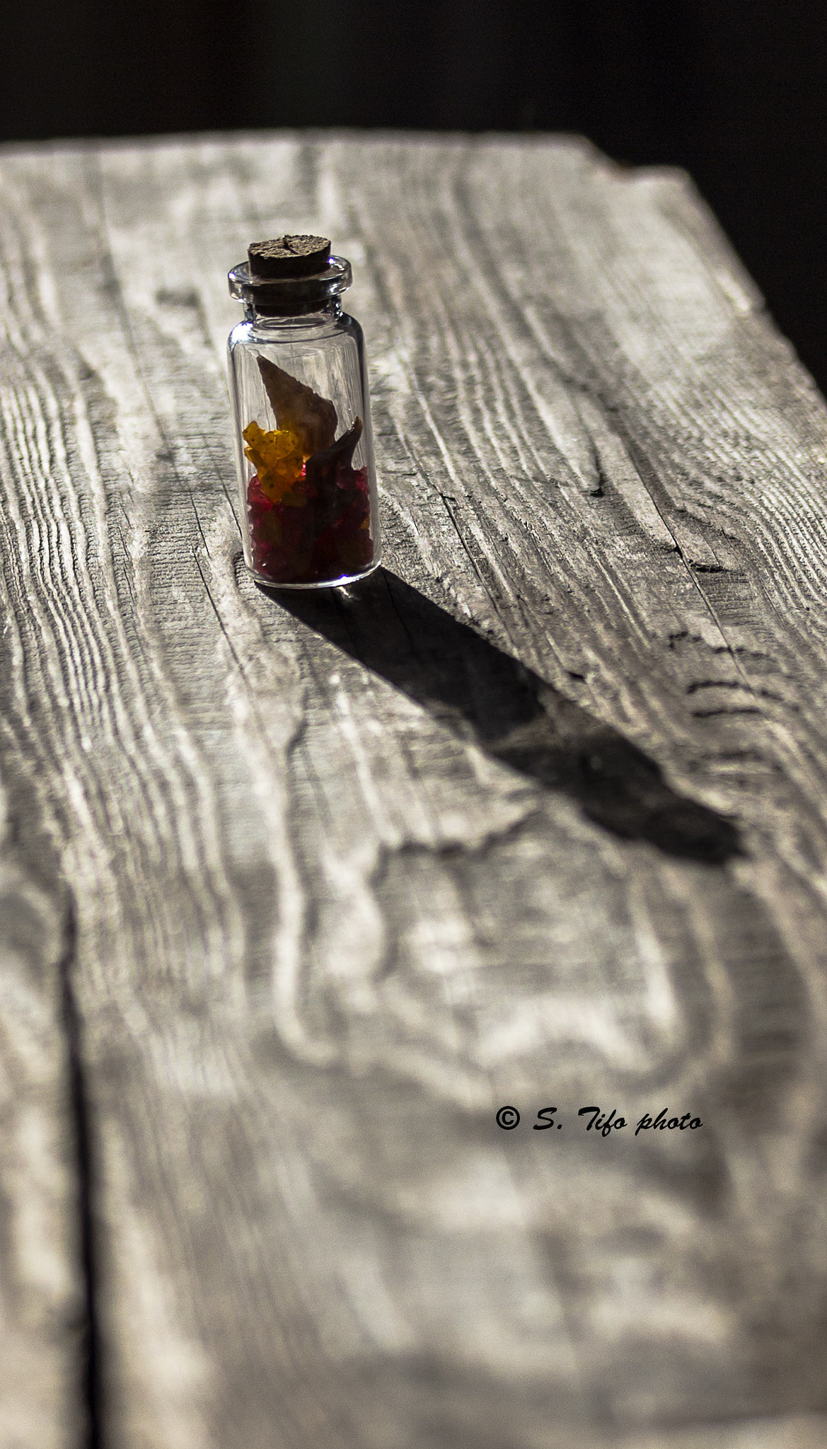 Canon EF-S 60mm F2.8 Macro USM sample photo. La petite bouteille ... photography