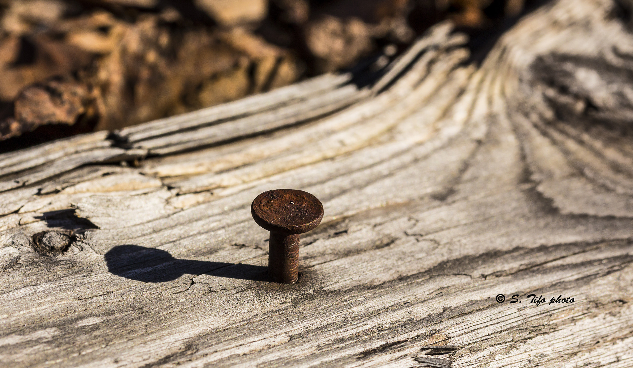 Sigma 105mm F2.8 EX DG OS HSM sample photo. Shadow .... photography
