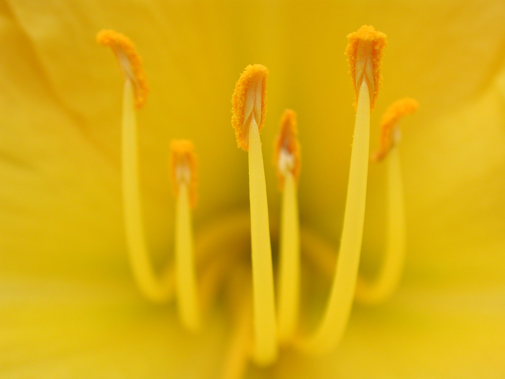 Stand Up and Be Counted by Wes Hardaker on 500px.com