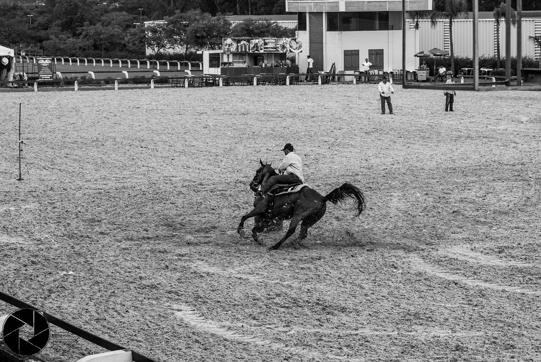 AF Zoom-Nikkor 35-70mm f/3.3-4.5 N sample photo. Horse training photography