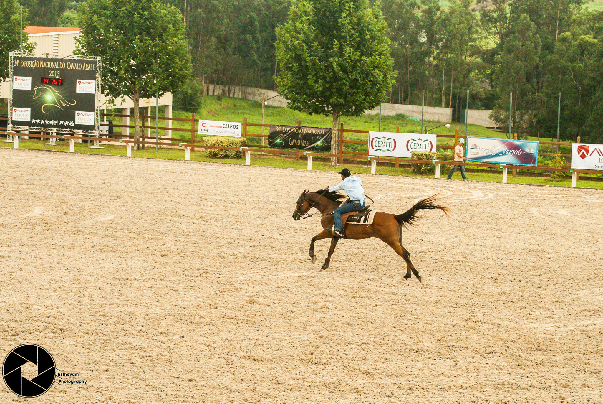 AF Zoom-Nikkor 35-70mm f/3.3-4.5 N sample photo. Horse training photography