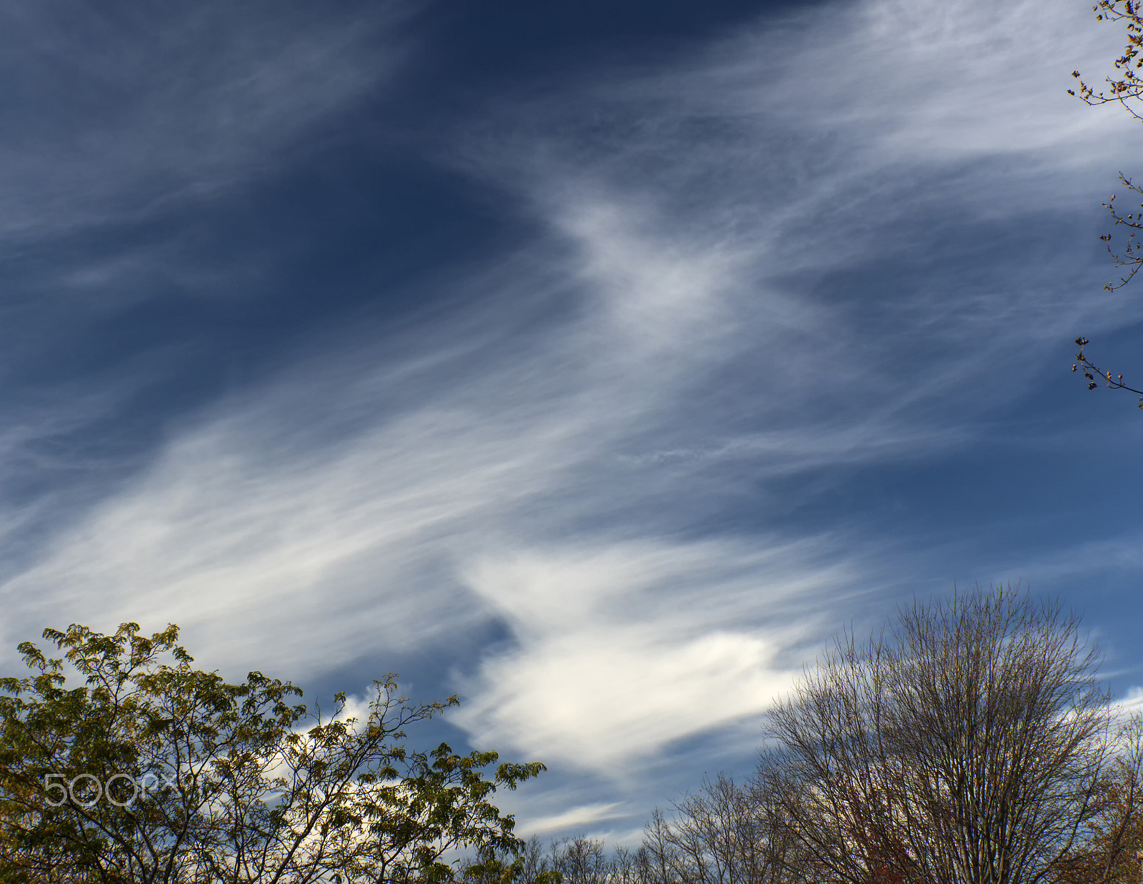 Canon EOS 760D (EOS Rebel T6s / EOS 8000D) + Canon EF 500mm F4L IS USM sample photo. Radiating wisps photography