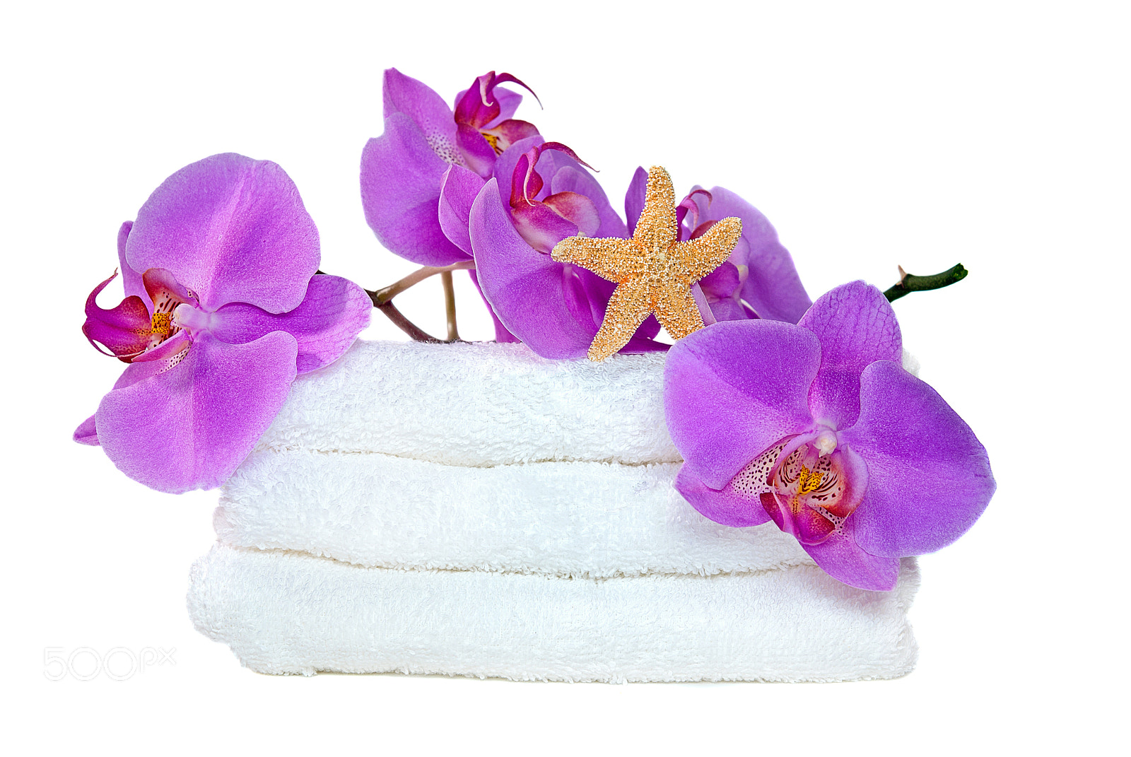 Nikon D80 + Nikon AF-S Micro-Nikkor 60mm F2.8G ED sample photo. Orchids and starfish on towels photography